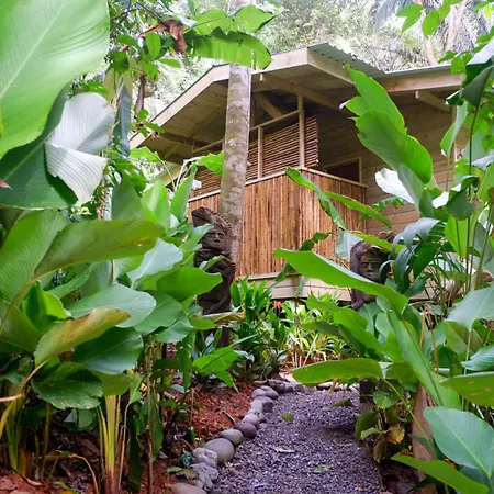 Rainbow Lodge Costa Rica Savegre Exterior photo