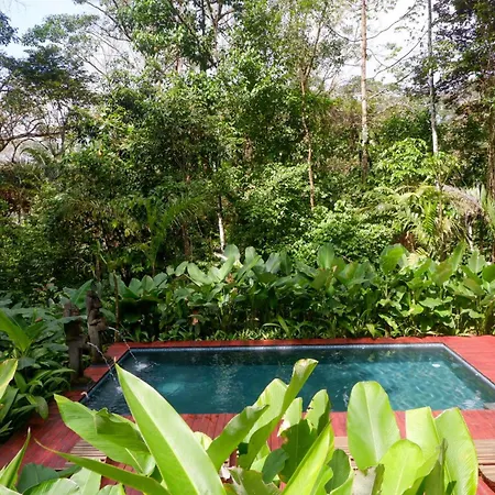 Rainbow Lodge Costa Rica Savegre Exterior photo