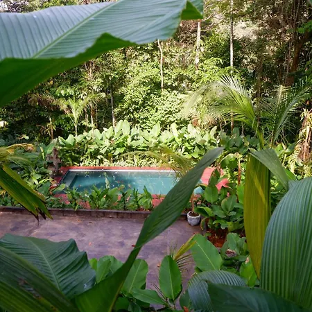 Rainbow Lodge Costa Rica Savegre Exterior photo