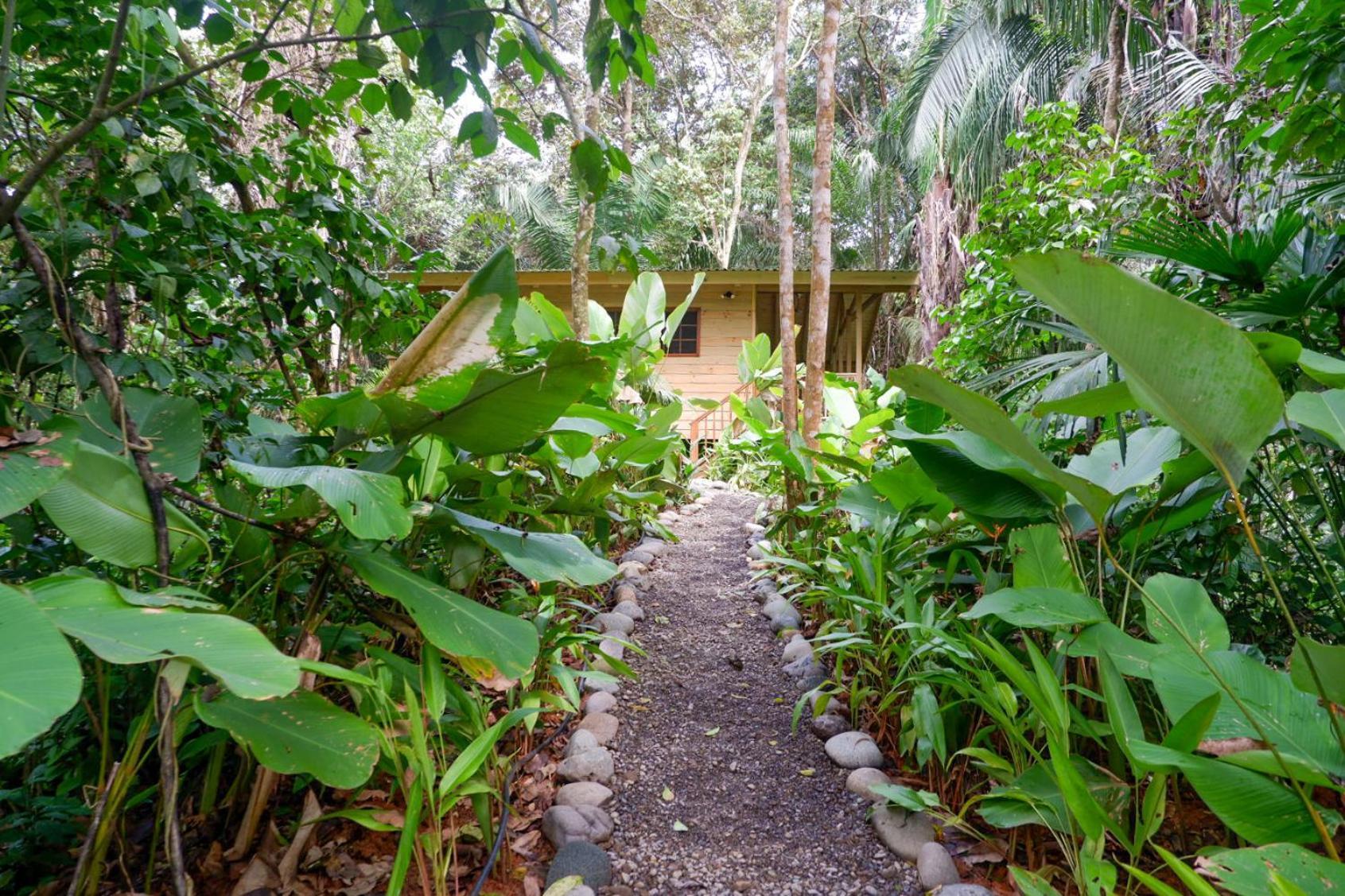 Lodge Rainbow Costa Rica Savegre