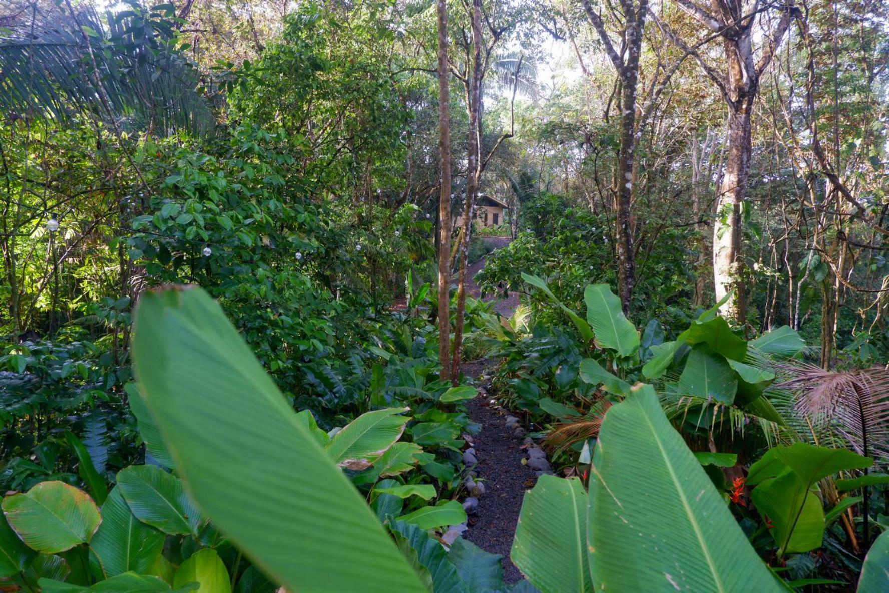 Lodge Rainbow Costa Rica Savegre